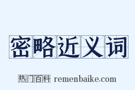 密略近义词是什么意思的图片